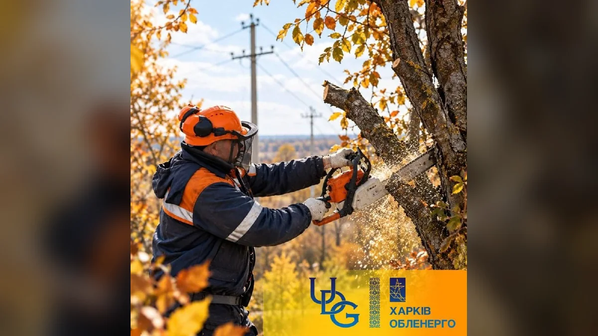 У Харкові енергетики закликали вчасно обрізати дерева біля ліній електропередачі