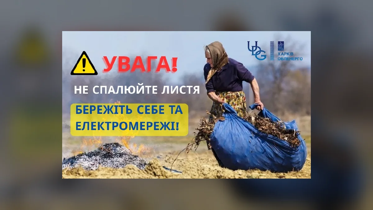 У Харкові енергетики закликали не палити листя біля ліній передач через загрозу
