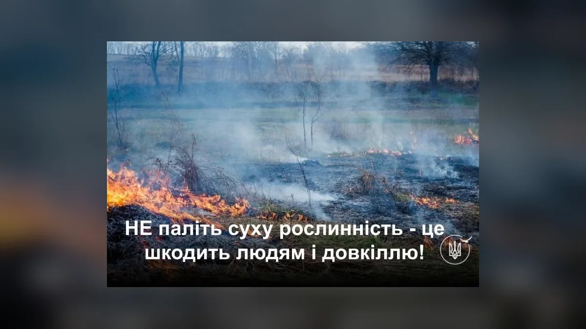 На Харківщині нагадали про штрафи до 30 600 грн за спалювання сухого листя