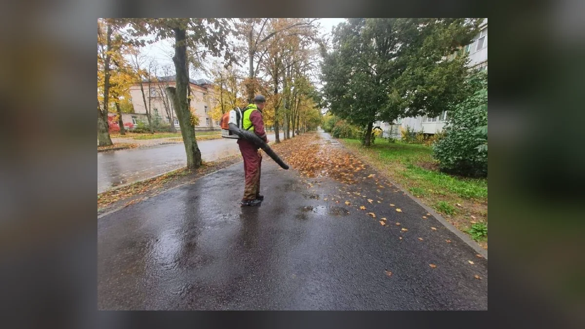 У Харкові працівники КП Шляхрембуд прибирають опале листя на вулицях