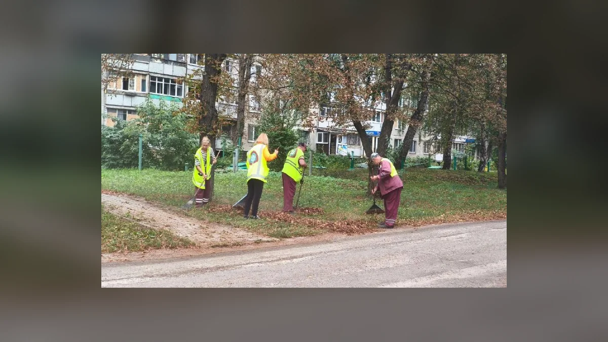 У Харкові за вересень прибрали листя та навели лад на 251 вулиці приватного сектору