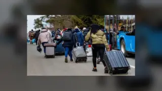 У Харкові зареєстровано понад 227 тисяч переселенців: щотижня прибуває 1 тисяча людей