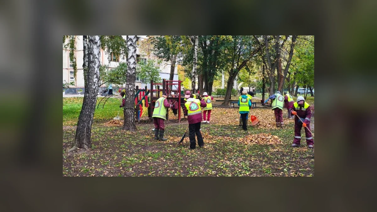 У Харкові з початку осені прибрали близько 50 тисяч кубометрів листя