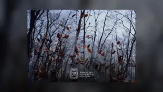 У Харкові та області попередили про штормовий вітер 9 жовтня
