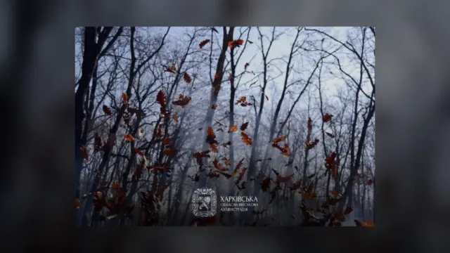 У Харкові та області попередили про штормовий вітер 9 жовтня