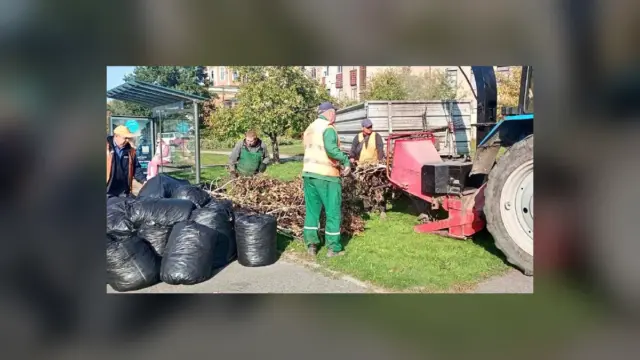 У чотирьох районах Харкова комунальники вивезли 940 кубометрів гілля за тиждень